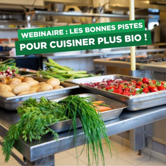 Les bonnes pistes pour cuisiner plus bio - visuels